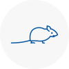 Mice Exterminators In Prudhoe
